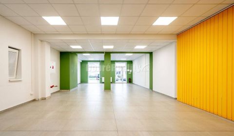 Mieten Geschäftsräumlichkeiten, Geschäftsräumlichkeiten, Zvolenská Ces