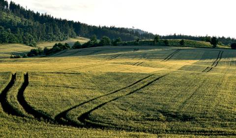 Kaufen landwirtsch. Grundstücke, landwirtsch. Grundstücke, Košice-okol