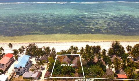 Sansibar-Strandgrundstück in BWEJUU