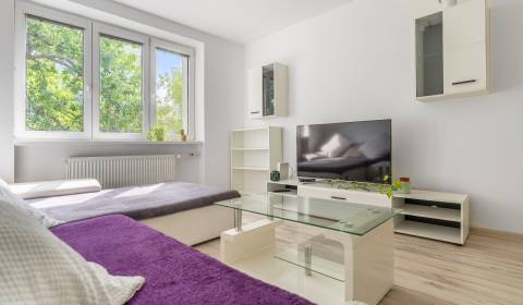 Kaufen 2-Zimmer-Wohnung, 2-Zimmer-Wohnung, Prievozská, Bratislava - Ru