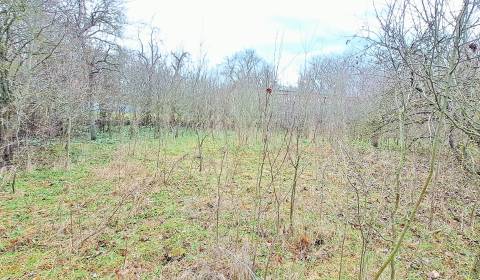 Kaufen Baugrund, Baugrund, Levice, Slowakei