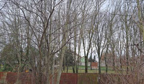 Kaufen Baugrund, Baugrund, Lok, Levice, Slowakei