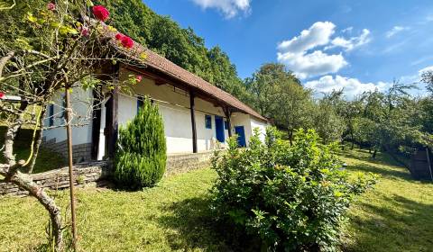 Kaufen Einfamilienhaus, Einfamilienhaus, Myjava, Slowakei