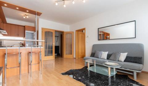 Mieten 2-Zimmer-Wohnung, 2-Zimmer-Wohnung, Gercenova, Bratislava - Pet