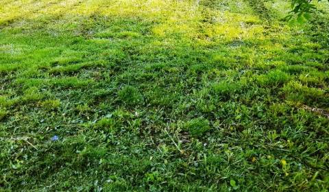 Kaufen Baugrund, Baugrund, Michalovce, Slowakei