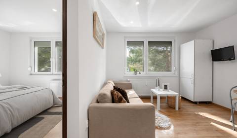 Kaufen 1-Zimmer-Wohnung, 1-Zimmer-Wohnung, Bratislava - Petržalka, Slo