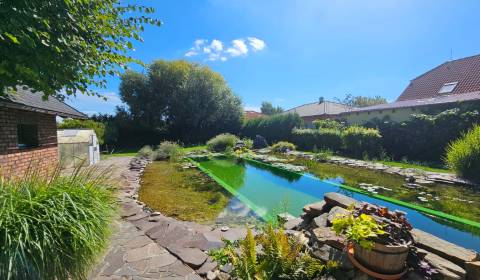 Kaufen Einfamilienhaus, Einfamilienhaus, Senec, Slowakei