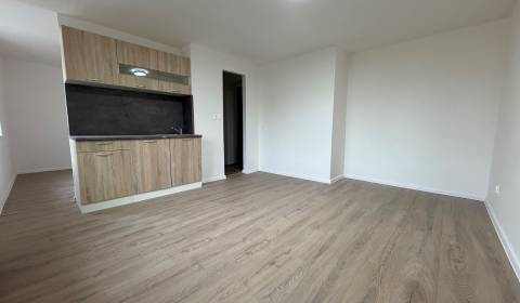 Kaufen 1-Zimmer-Wohnung, 1-Zimmer-Wohnung, Stodolova, Bratislava - Ruž