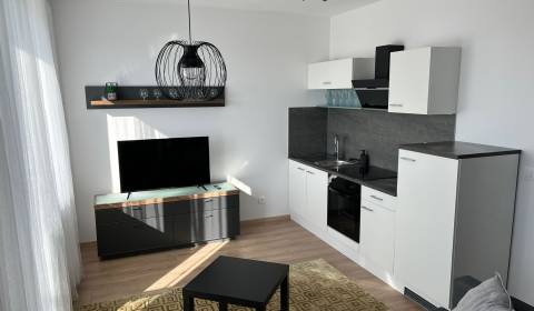 Mieten 1-Zimmer-Wohnung, 1-Zimmer-Wohnung, Ivanská cesta, Bratislava -