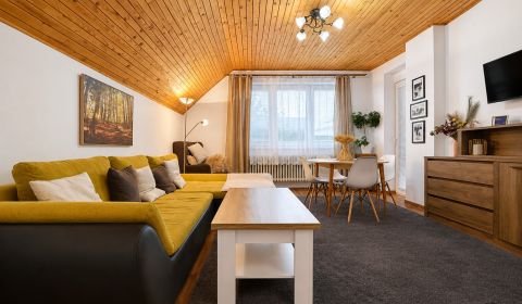 Charmante 3-Zimmer-Wohnung in Nová Lesná zu vermieten