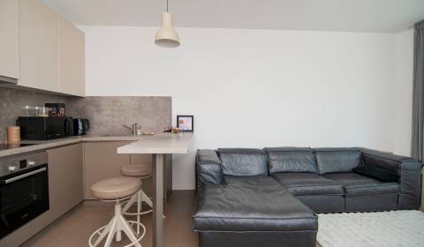 Mieten 2-Zimmer-Wohnung, 2-Zimmer-Wohnung, Radlinského, Bratislava - S