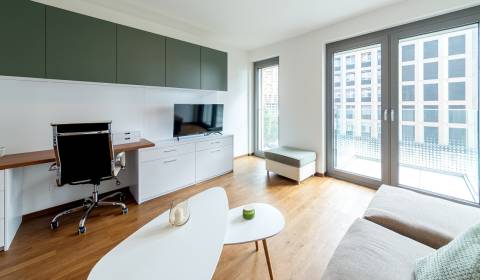 Mieten 1-Zimmer-Wohnung, 1-Zimmer-Wohnung, Bottova, Bratislava - Staré