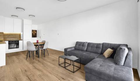 Mieten 2-Zimmer-Wohnung, 2-Zimmer-Wohnung, Galvaniho, Bratislava - Ruž