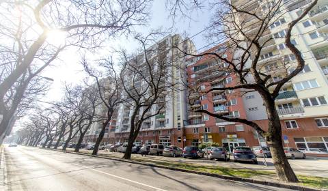 Mieten Garage, Garage, Jégého, Bratislava - Ružinov, Slowakei