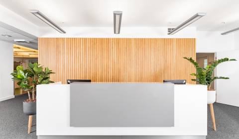 Mieten Büros, Büros, Suché Mýto 1, Bratislava - Staré Mesto, Slowakei