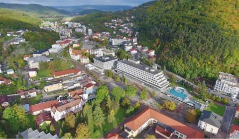 Kaufen Industriegrund, Industriegrund, Hurbanova, Trenčín, Slowakei