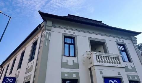 Mieten Geschäftsräumlichkeiten, Geschäftsräumlichkeiten, Braneckého, T