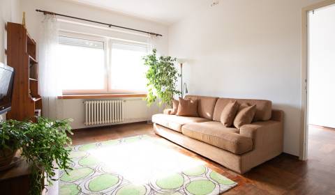 Großzügige 2,5-Zimmer-Wohnung mit Donaublick zu vermiete