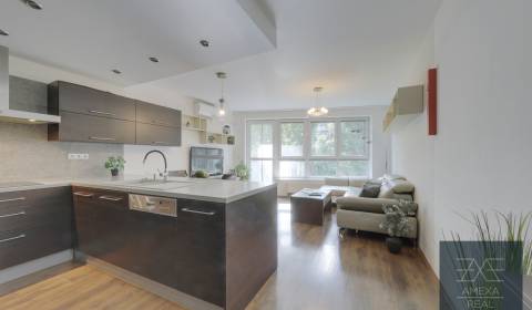 Mieten 3-Zimmer-Wohnung, 3-Zimmer-Wohnung, Drieňová, Bratislava - Ruži