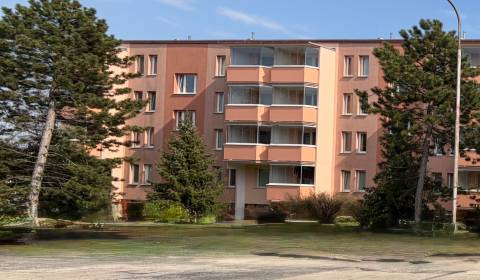 Mieten 1-Zimmer-Wohnung, 1-Zimmer-Wohnung, Štefánikova, Senica, Slowak