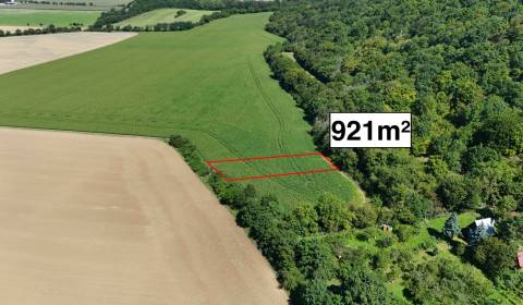Kaufen landwirtsch. Grundstücke, landwirtsch. Grundstücke, Nové Mesto 