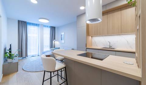 Mieten 2-Zimmer-Wohnung, 2-Zimmer-Wohnung, Mierová, Bratislava - Ružin