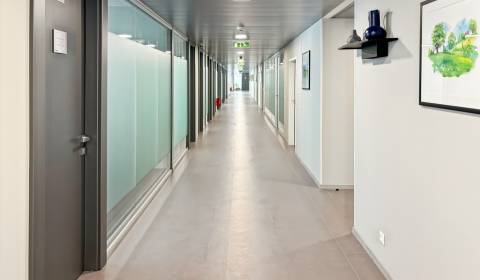 Mieten Büros, Büros, Zriedlova 13, Košice - Staré Mesto, Slowakei