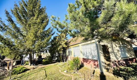 Kaufen Einfamilienhaus, Einfamilienhaus, Branovo 90, Nové Zámky, Slowa