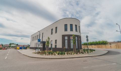 Mieten Geschäftsräumlichkeiten, Geschäftsräumlichkeiten, Vladimíra Pre