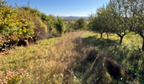 Kaufen Ferienhaus, Ferienhaus, Levice, Slowakei