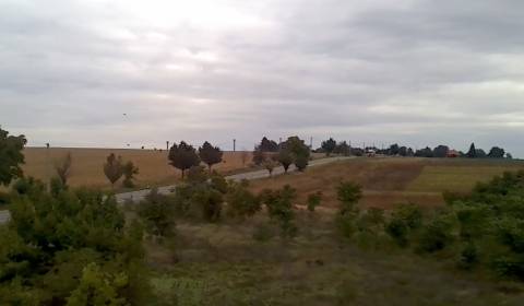 Kaufen Einfamilienhaus, Einfamilienhaus, Nitra, Slowakei