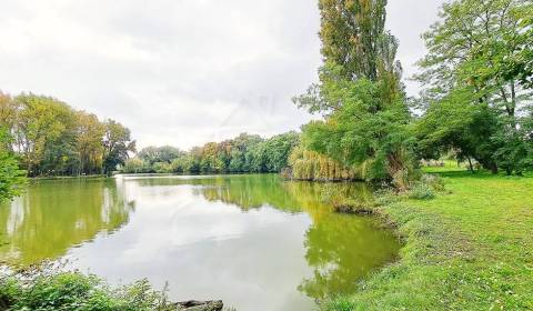 Kaufen Einfamilienhaus, Einfamilienhaus, Nitra, Slowakei