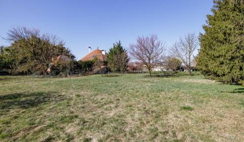 Kaufen Baugrund, Baugrund, Dunajská Streda, Slowakei