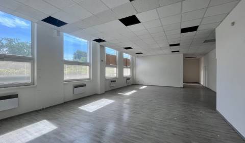 Mieten Geschäftsräumlichkeiten, Geschäftsräumlichkeiten, Hattalova, Br