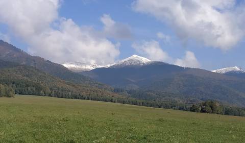 Kaufen Baugrundstück Erholung, Baugrundstück Erholung, Martin, Slowake