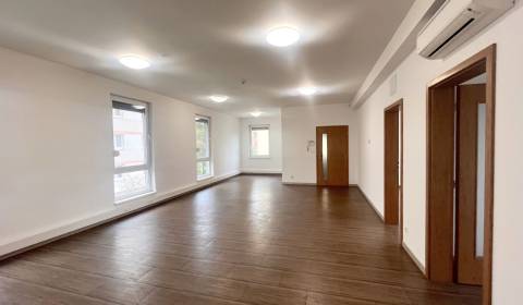 Mieten Büros, Büros, Pluhová, Bratislava - Nové Mesto, Slowakei