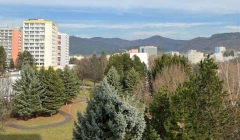 Suche 1-Zimmer-Wohnung, 1-Zimmer-Wohnung, Trieda Hradca Králové, Bansk