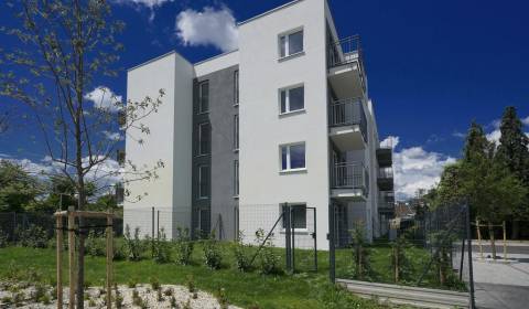 Suche 2-Zimmer-Wohnung, 2-Zimmer-Wohnung, Pezinok, Slowakei