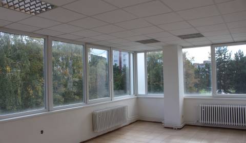 Mieten Geschäftsräumlichkeiten, Geschäftsräumlichkeiten, Centrum, Pova