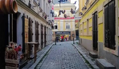 Mieten Geschäftsräumlichkeiten, Geschäftsräumlichkeiten, Zámočnícka, B