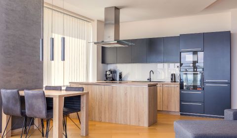 Moderne 3-Zimmer-Wohnung mit Donaublick in PANORAMA CITY