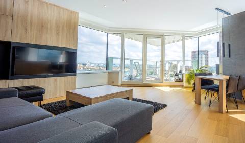 Moderne 3-Zimmer-Wohnung mit Donaublick in PANORAMA CITY