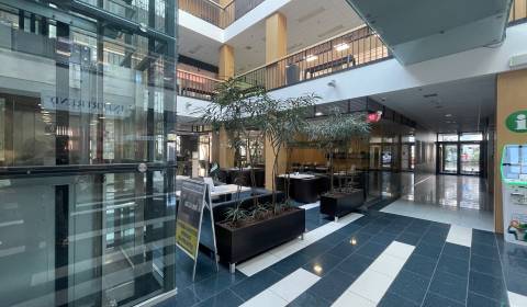 Mieten Geschäftsräumlichkeiten, Geschäftsräumlichkeiten, Sídlisko Jas,