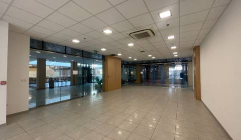 Mieten Geschäftsräumlichkeiten, Geschäftsräumlichkeiten, Sídlisko Jas,