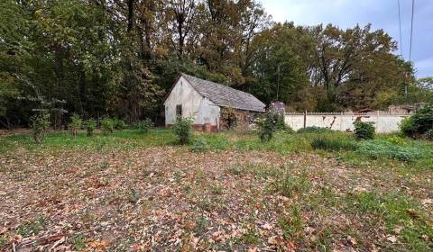 Kaufen Einfamilienhaus, Einfamilienhaus, Komárno, Slowakei