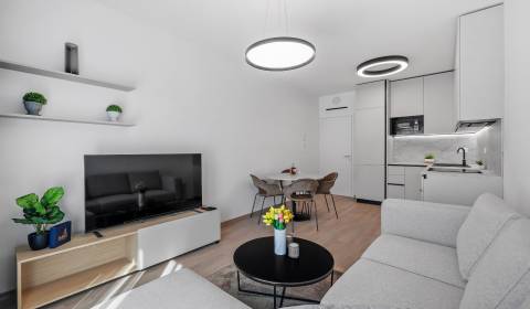 Mieten 2-Zimmer-Wohnung, 2-Zimmer-Wohnung, Bottova, Bratislava - Staré