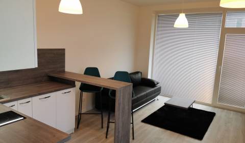 Kaufen 1-Zimmer-Wohnung, 1-Zimmer-Wohnung, Slávičia, Senec, Slowakei