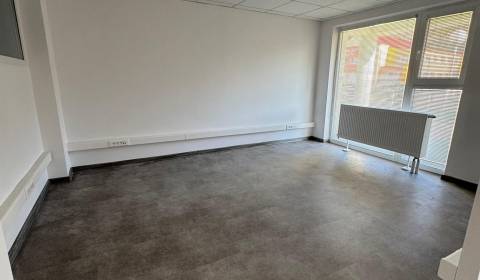 Mieten Geschäftsräumlichkeiten, Geschäftsräumlichkeiten, Moyzesova, Po