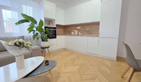 Mieten 2-Zimmer-Wohnung, 2-Zimmer-Wohnung, Špitálska, Bratislava - Sta