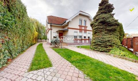 Kaufen Einfamilienhaus, Dunajská Streda, Slowakei